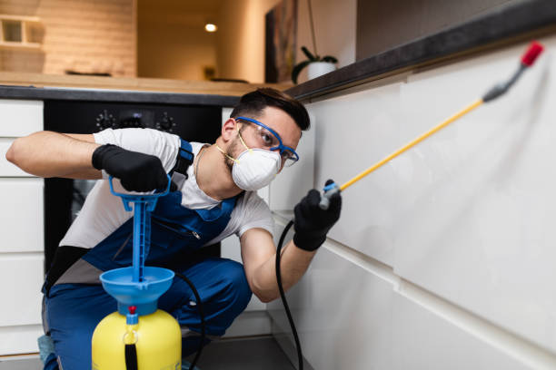 Best Wasp Removal Services  in Petersburg, VA