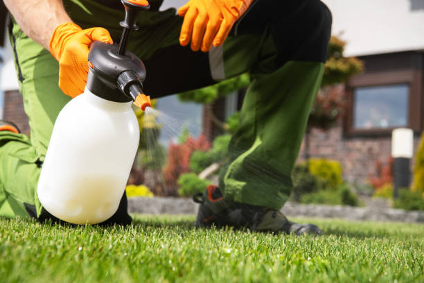 Best Pest Control for Homes  in Petersburg, VA