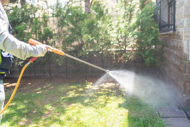 Best Flea Control Services  in Petersburg, VA