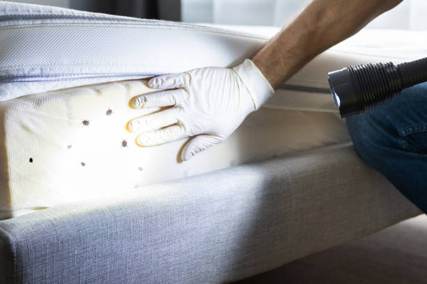 Best Exterminator Services  in Petersburg, VA