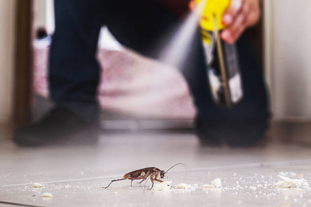 Best Pest Prevention Services  in Petersburg, VA